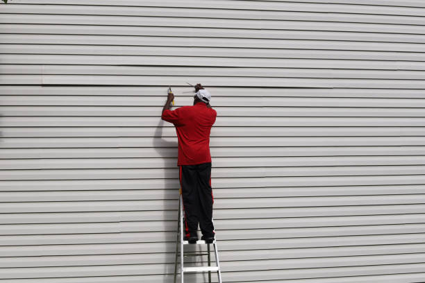 Best Siding Repair  in Summersville, WV
