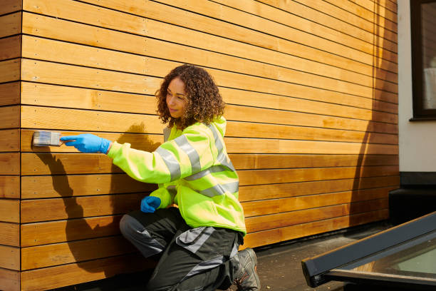 Best Stucco Siding  in Summersville, WV